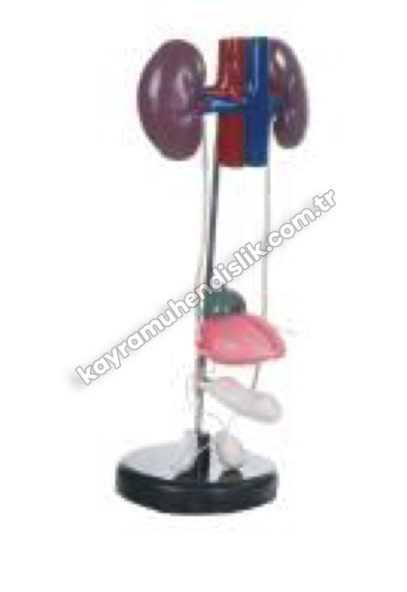 Boşaltım Sistemi Modeli - KYR6840